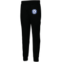 Men's PERFORMANCE FLEECE JOGGER
